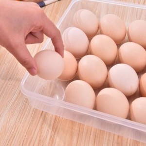 Combo of 3 egg boxes of 24 eggs AMIZIN Smart egg tray for refrigerator High-end product